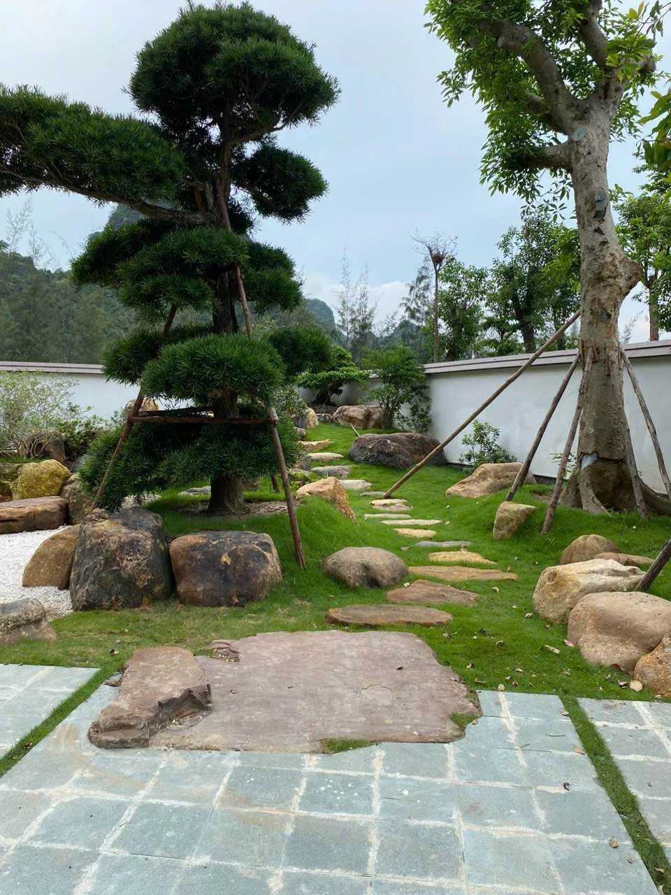 Thi công lối dạo trong vườn sinh thái